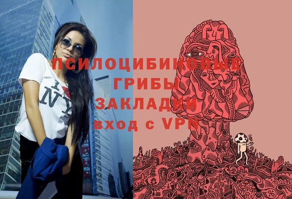гидропоника Армянск