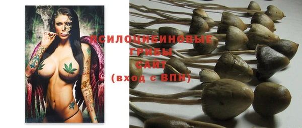 бошки Михайловск