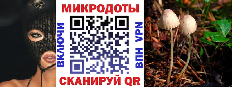 Псилоцибиновые грибы мицелий Сафоново